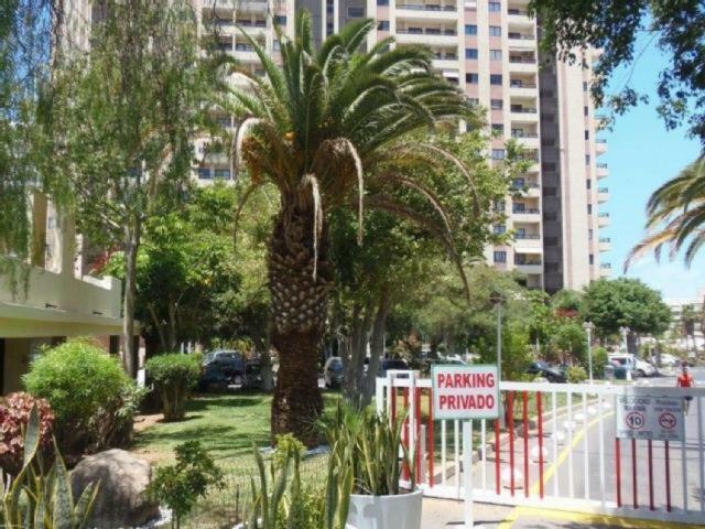 Ocean House & Perfect For You Costa Adeje  Bagian luar foto
