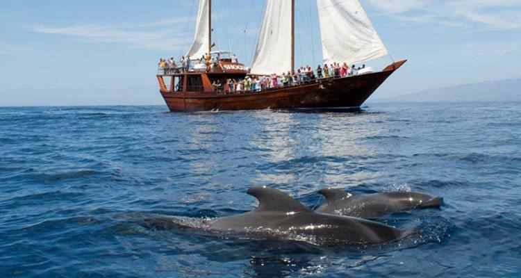 Ocean House & Perfect For You Costa Adeje  Bagian luar foto