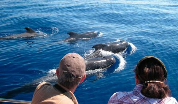 Ocean House & Perfect For You Costa Adeje  Bagian luar foto